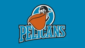 Pelican pelit